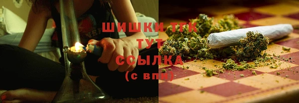 spice Абаза