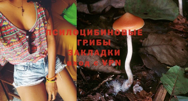 винт Абинск