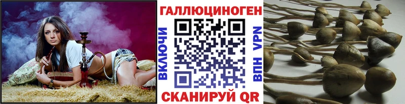 Псилоцибиновые грибы GOLDEN TEACHER гидра вход мориарти официальный сайт Севастополь