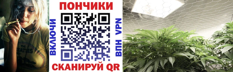 Канабис ГИДРОПОН  цена   Севастополь 